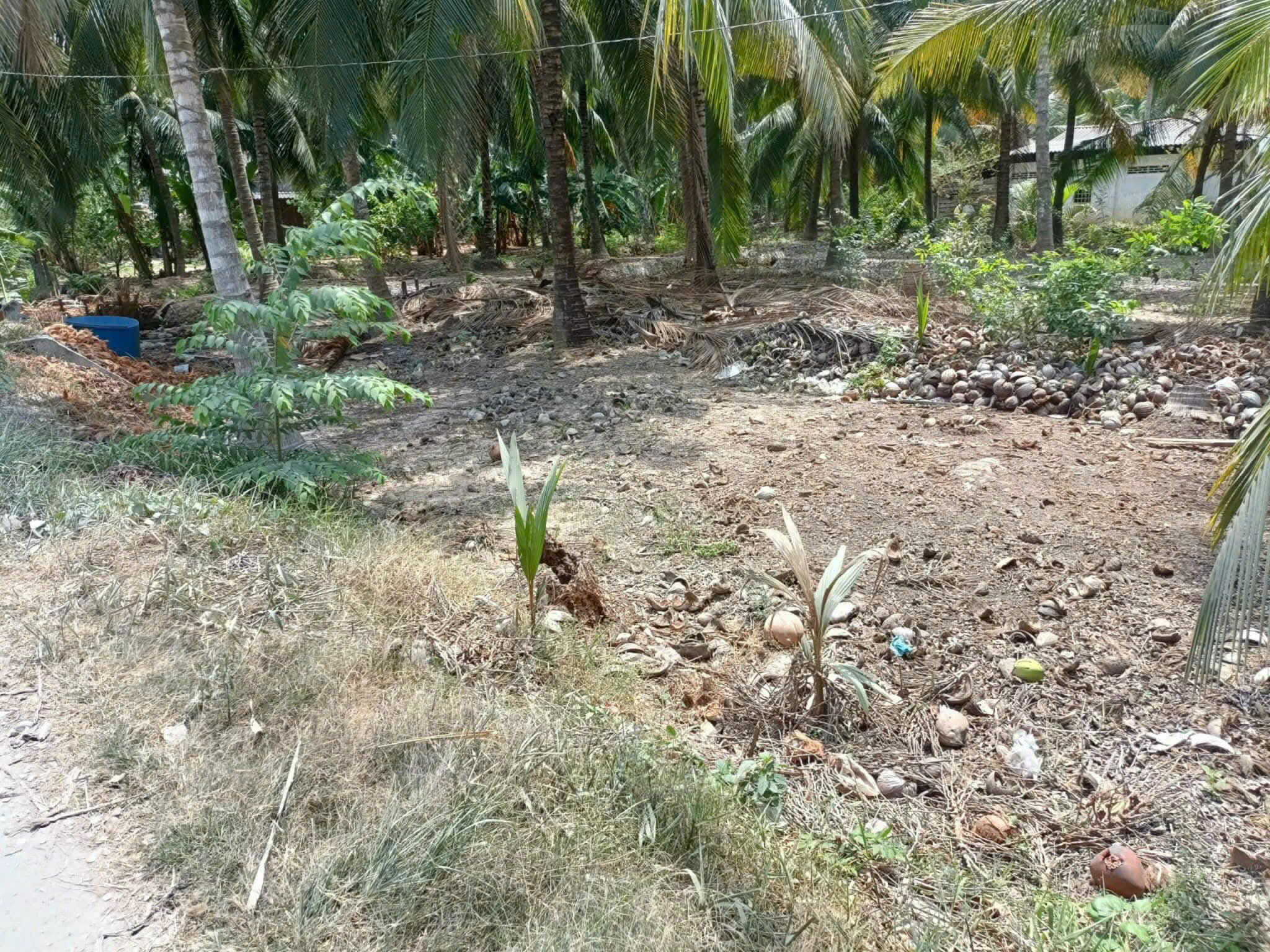 Bán 3 công đất view sông lớn 2 sổ riêng - mặt tiền đường xe tải