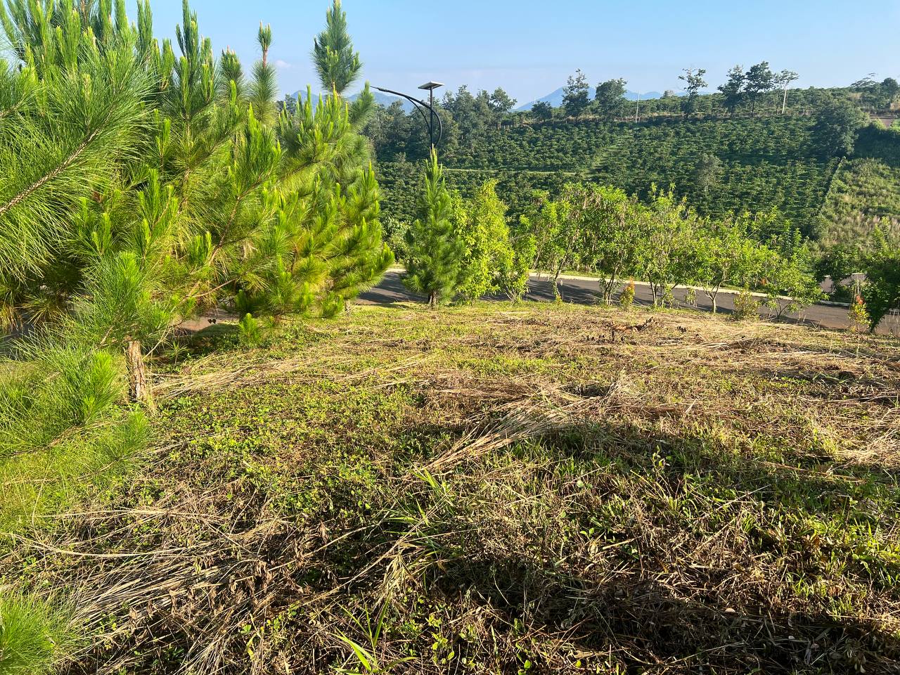 Bán đất dự án La Nature Bảo Lộc – lô mặt tiền, full thổ cư, giá tốt nhất khu vực