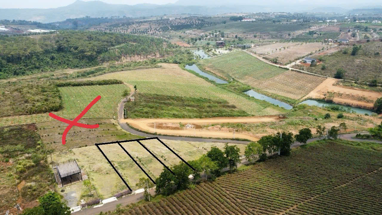 Đất nền nghỉ dưỡng gần Đồi Chè Tâm Châu – Bảo Lộc – giá tốt nhất khu vực chỉ 6  triệu/m²