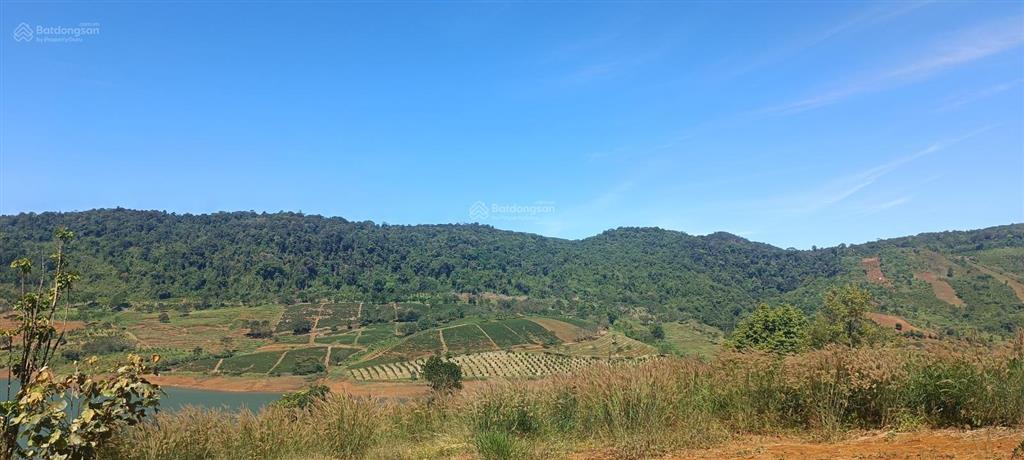 Đất view hồ – triền đồi thoải hiếm tại Bảo Lộc, quy hoạch thổ cư tương lai