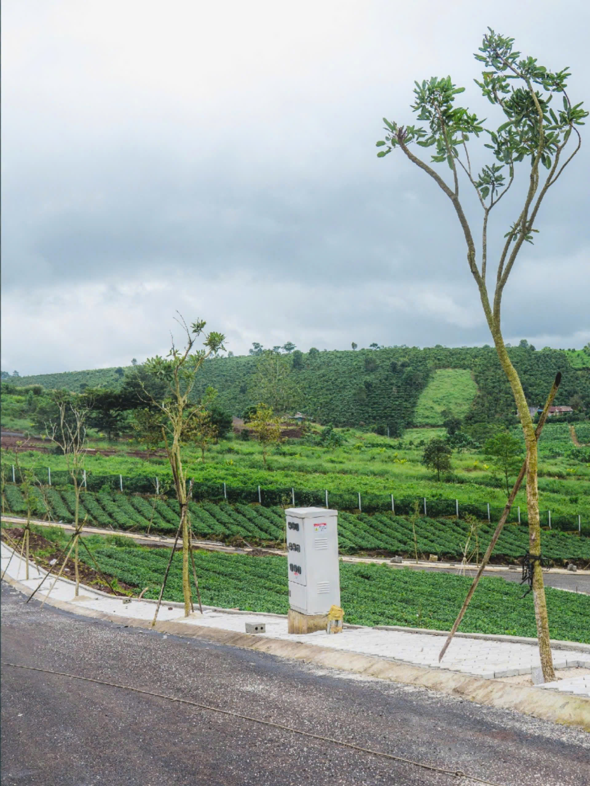 Lô 102m² Full thổ cư – Nội khu cao cấp – Chỉ 1,29 tỷ