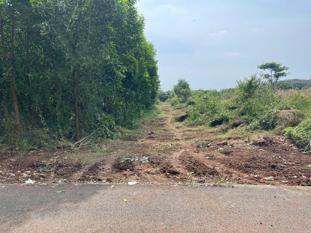 BÁN 7691.5 M² ĐẤT XÃ LONG TÂN, ĐẤT ĐỎ GIÁ 3 TỶ / SÀO. LH:0938677702.