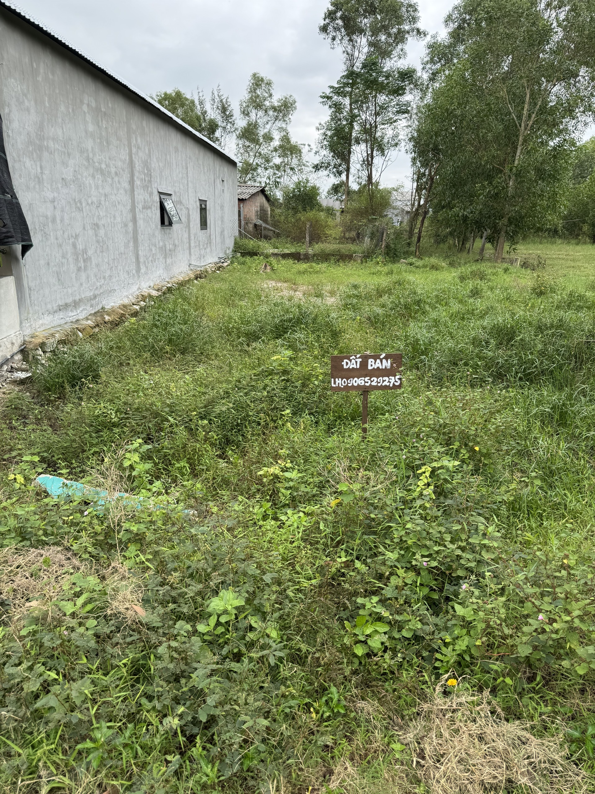 Bán đất tại Phú Gia, Xã Phú Vang, Thành Phố Huế DT: 100 m2 SHR: 620tr. LH:0906529275