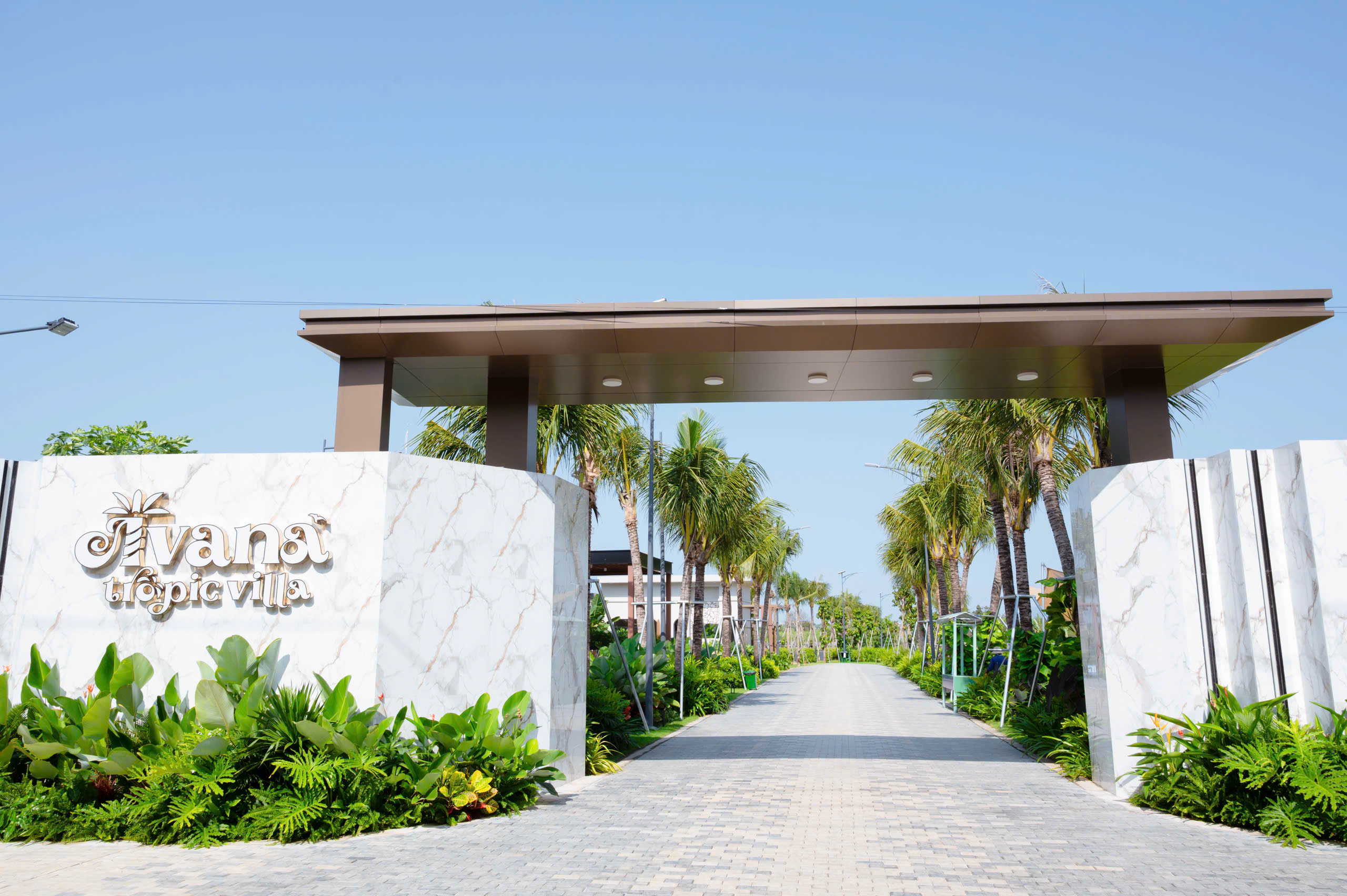 Bạn không mua AVANA vì nó rẻ. Bạn mua vì nó đáng 